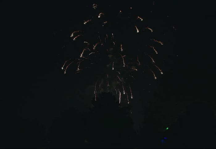 Colorful fireworks in the night sky