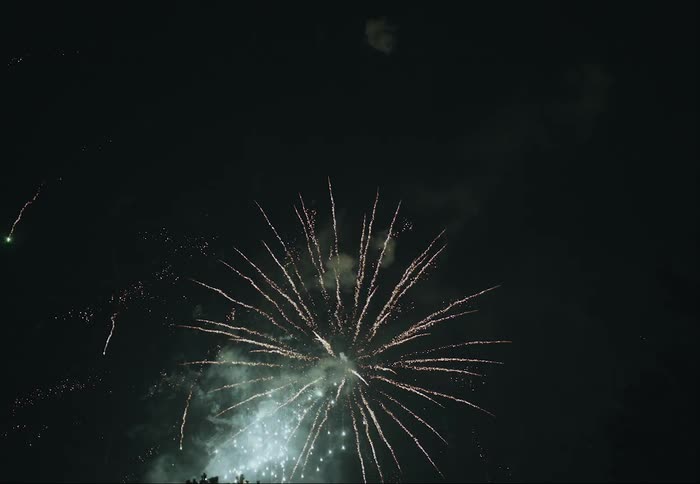 Fireworks shooting off at night on 4th of july