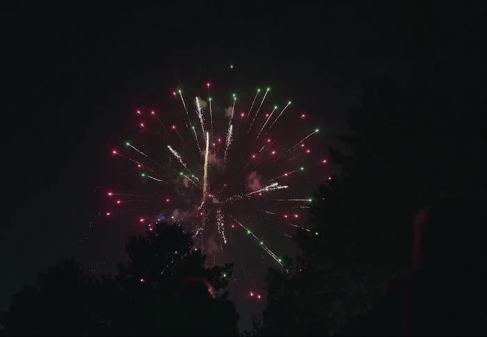 Colorful fireworks explode in the night sky