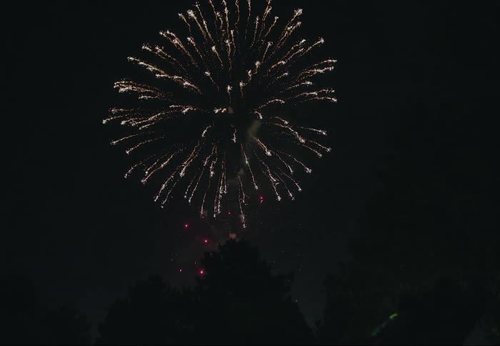 People watch fireworks being set off in the sky at night
