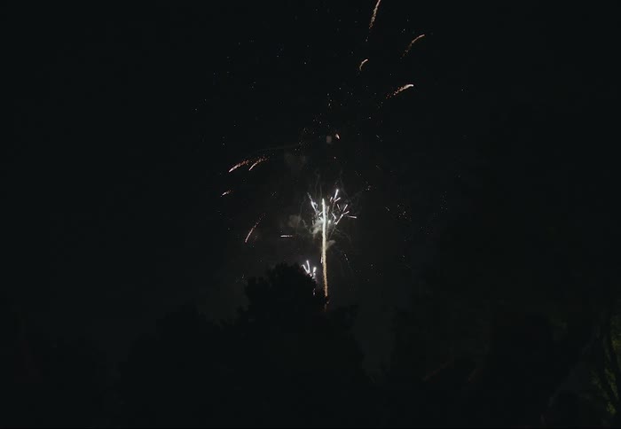 Colorful fireworks in the night sky