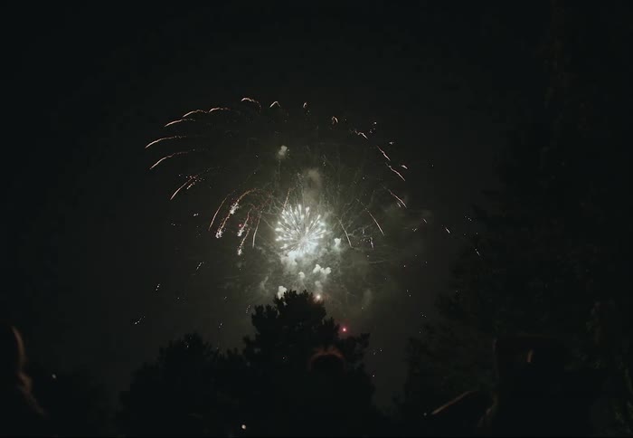 Colorful fireworks glow in the darkness as they explode across the night sky