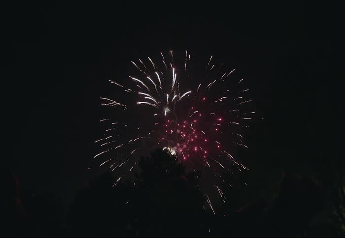 Fireworks shooting off above a silhouette of trees at night