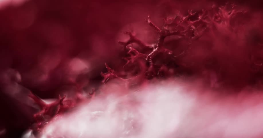 Bubbles foam up around mass of small pink branches