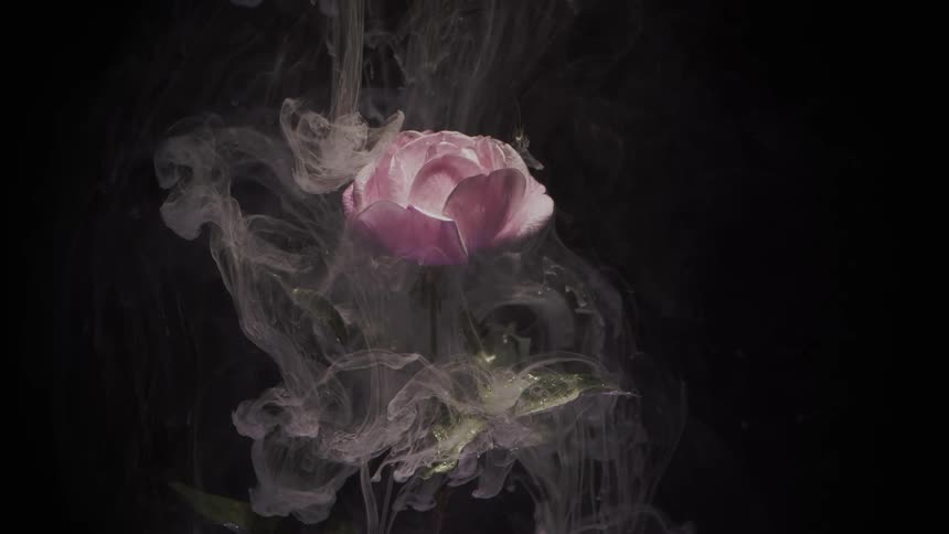 Smoke covers the flower