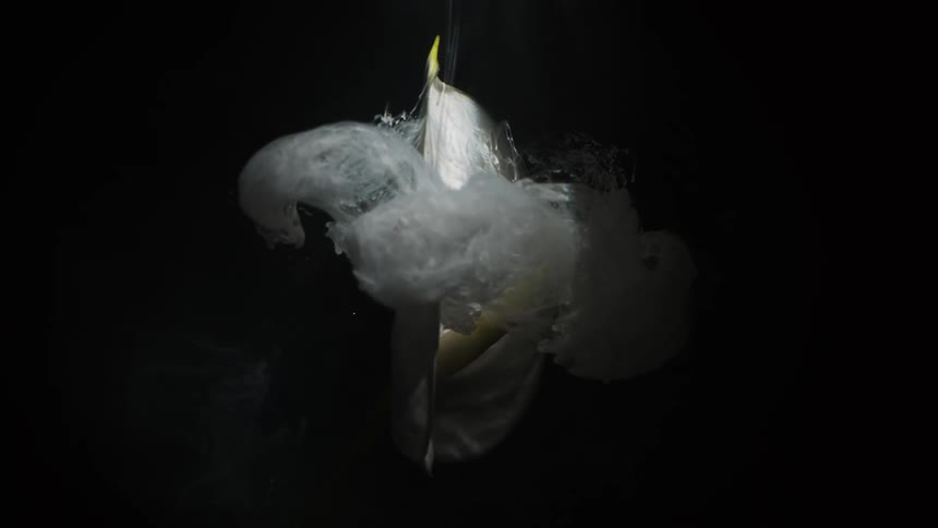 White gaseous cloud falls onto white petalled flower in dark area