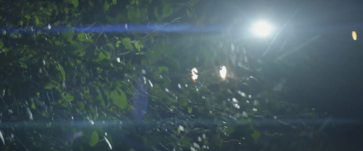 Vehicle lights and a flashlight in a wooded area at night