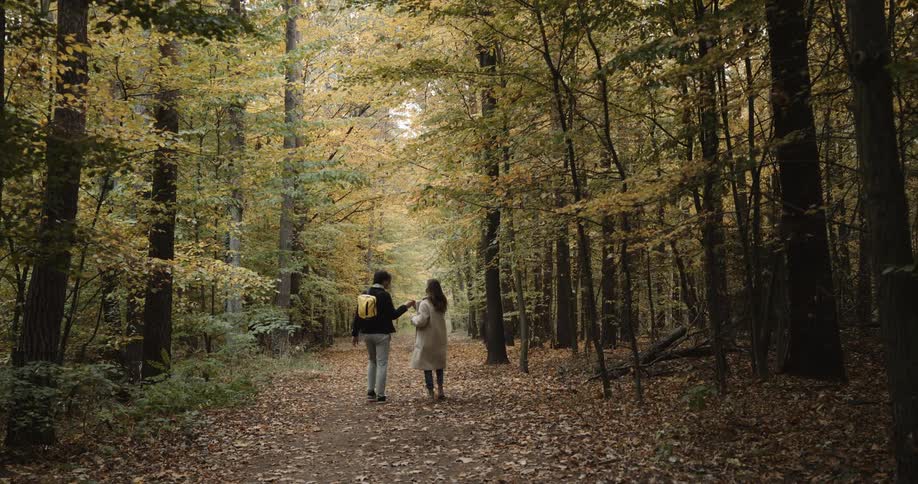 A man and woman walking through a forest on an autumn day