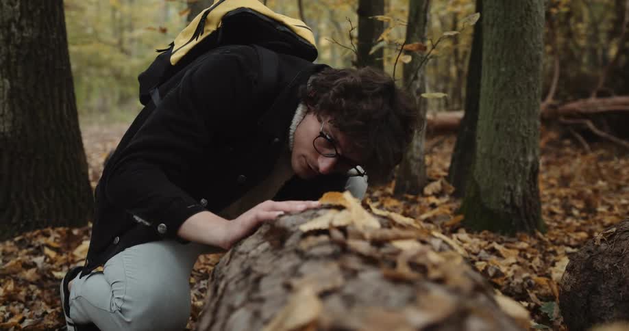 A man with a backpack crouching next to a fallen tree in a forest in autumn