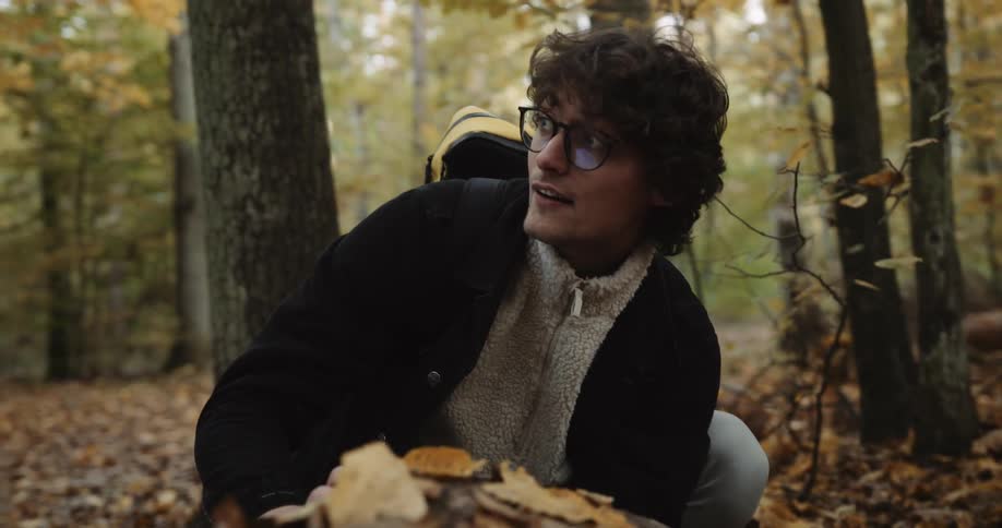 A male is looking at nature in a forest area
