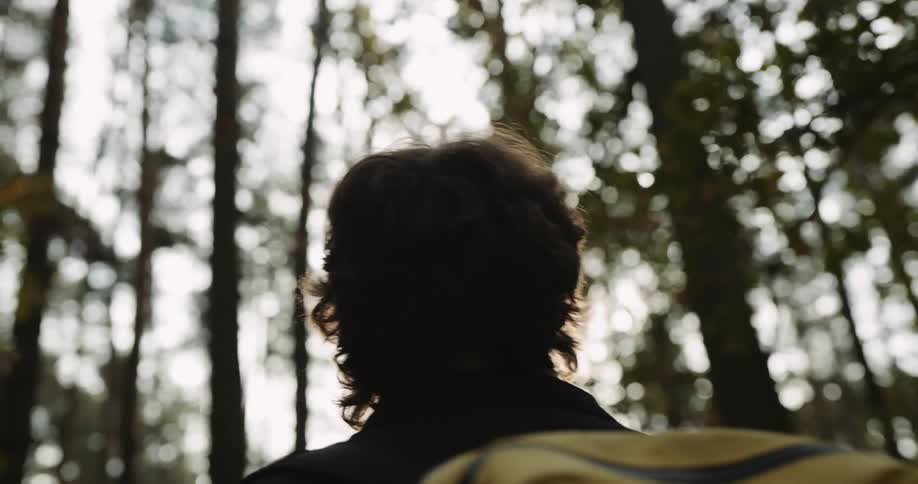 A man smiles in awe as he looks up at the trees during a hike