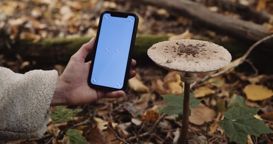 A person outdoors swiping on a phone