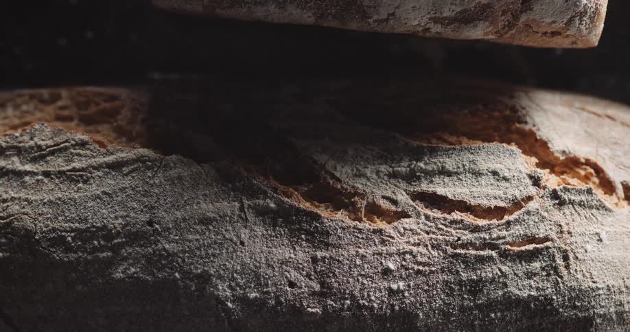 Light shines on the rough texture of a log before going dark again