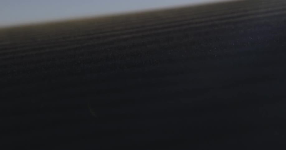 Close up view of plains in a grassland area is displayed