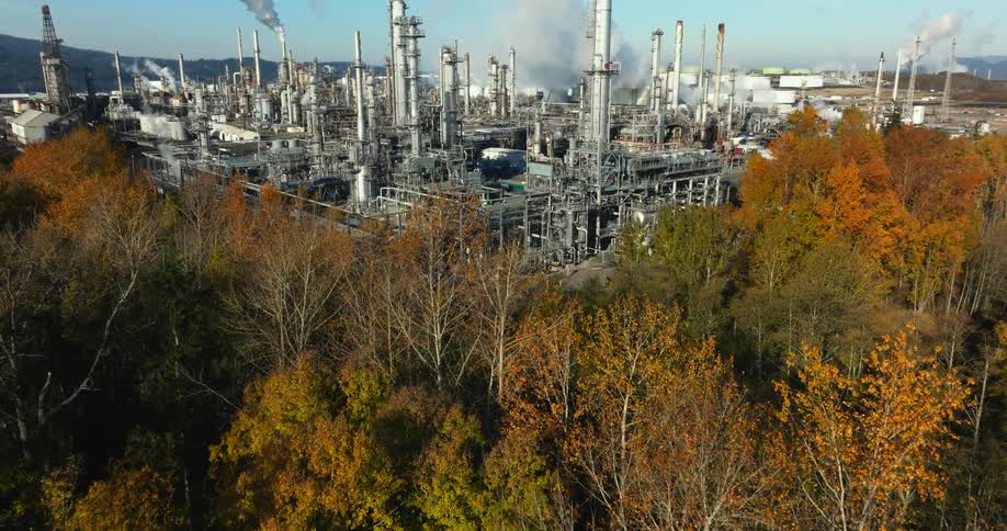 Tilt up from colorful fall foliage to a vast oil refinery complex