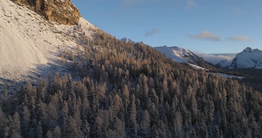 Conifer forest hugs base of snow covered mountains in mountain range