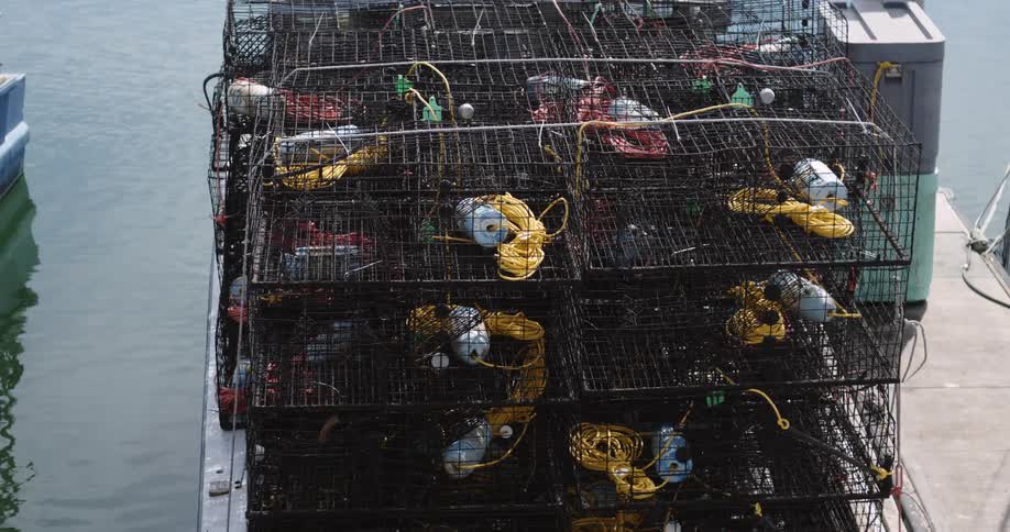 A small fishing boat loaded with empty wire cages for fishing is docked on a calm body of water in the daytime