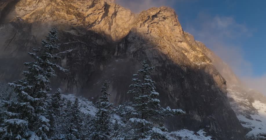 Snow capped trees sit at the base of a mountain