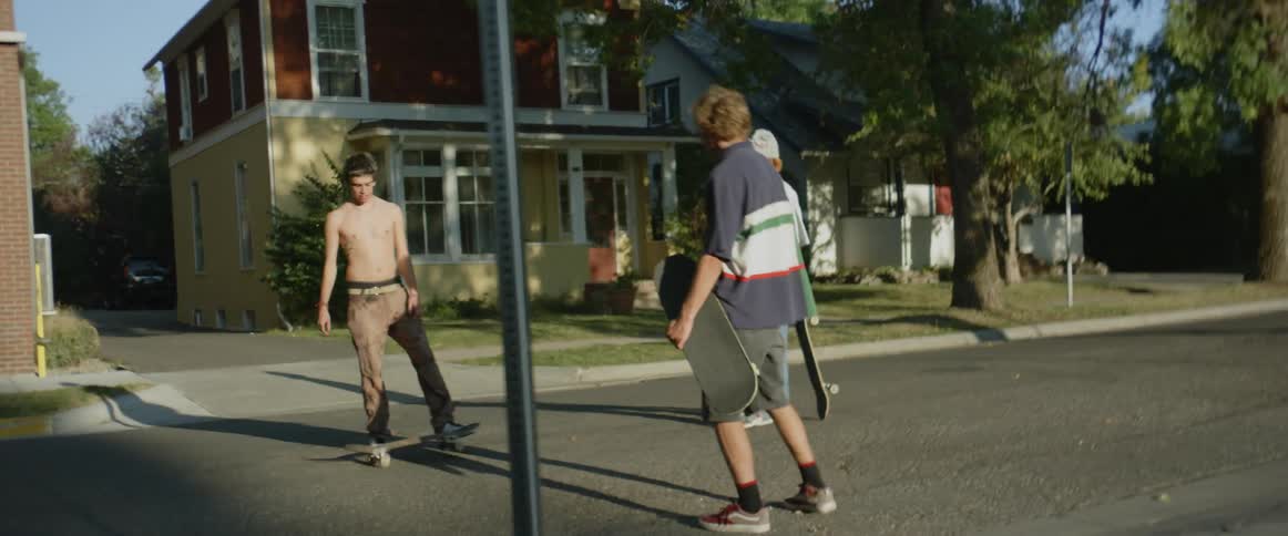 A small group of teenage boys are standing in a neighborhood street with their skateboards