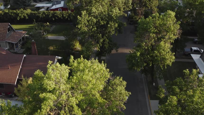 Kids are skateboarding through a suburban neighborhood