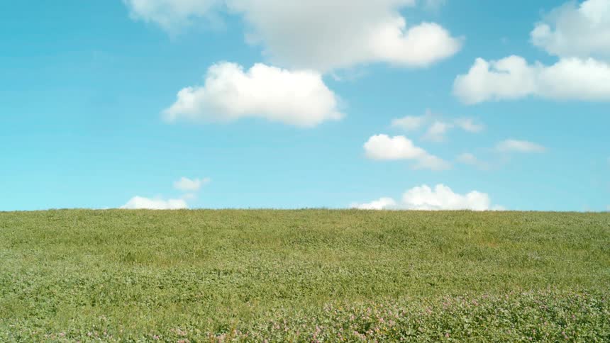 Slow tilt from a grassy hill to the bright blue sky
