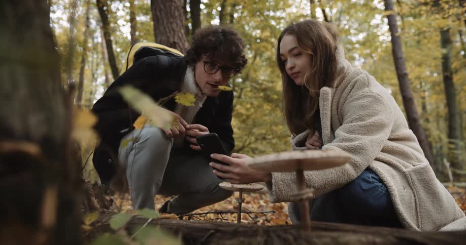A man and woman walking through the forest using their phone to take an picture near mushrooms and then walking away