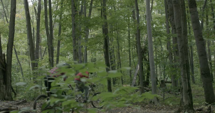 People are mountain bike riding in a forest