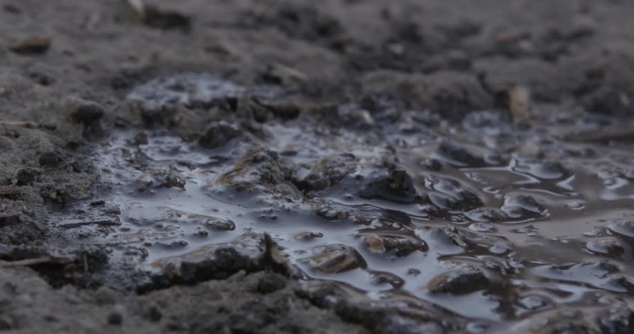 Rainfall creates a muddy puddle in a dirt field
