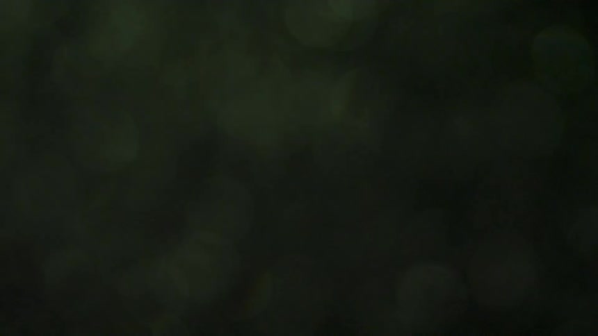 Defocused dark green texture