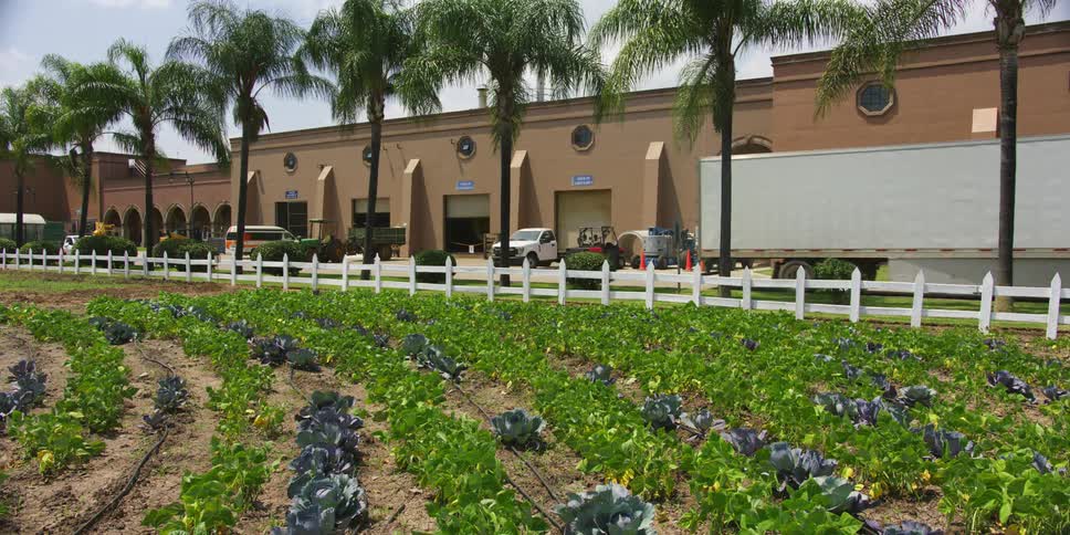 Exterior view of warehouse and logistic truck