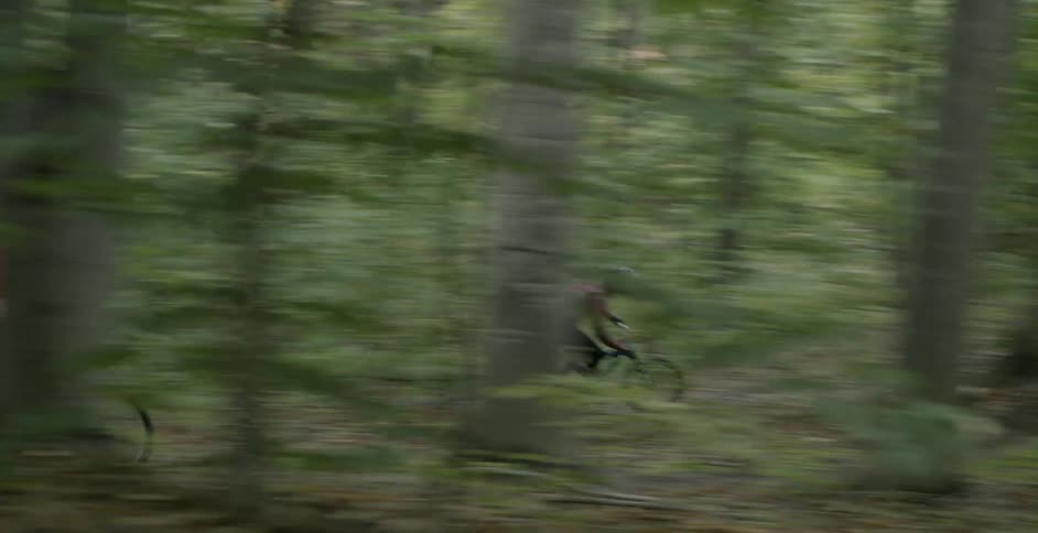 Two people ride bicycles through the forest at high speeds in the day time