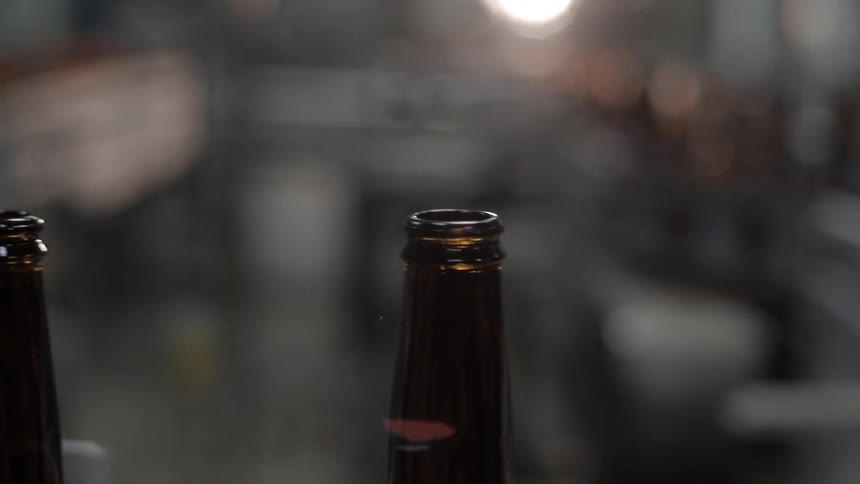 Beer bottles move on an assembly line