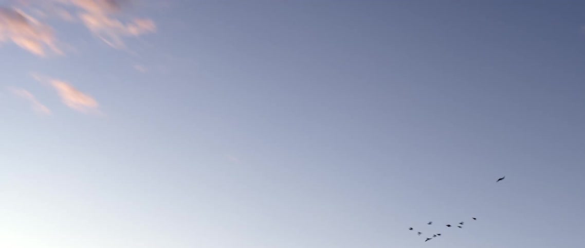 A flock of birds flies over lake at dusk