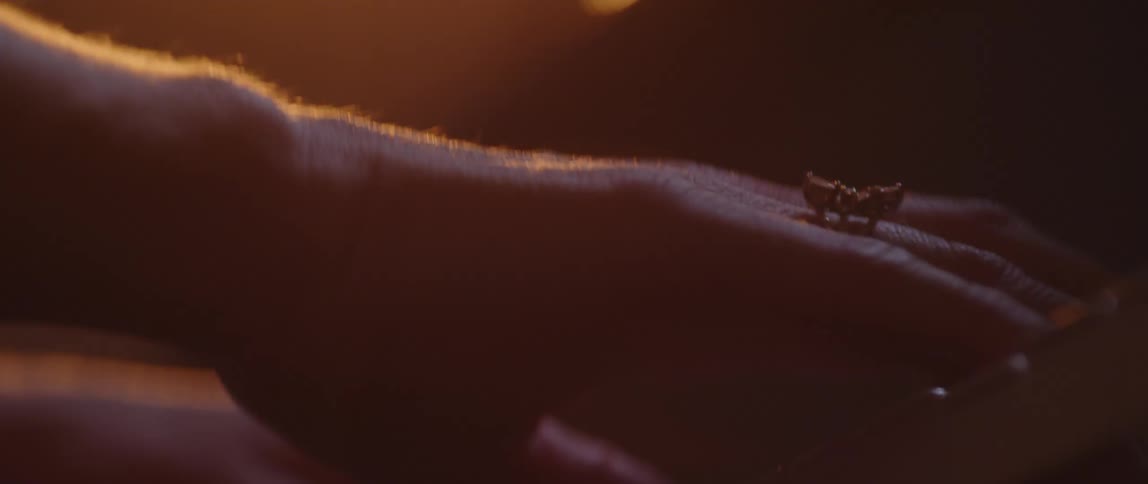 Close up view of a person playing a piano is displayed