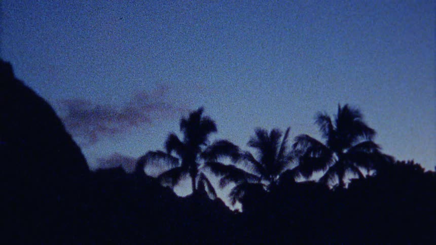 Palm trees are silhouetted agains the sky at dusk