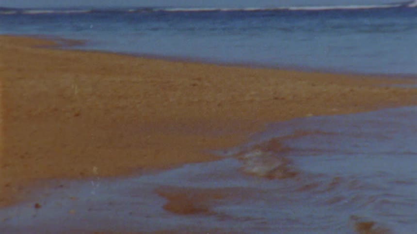 Film footage of the beach and ocean is displayed
