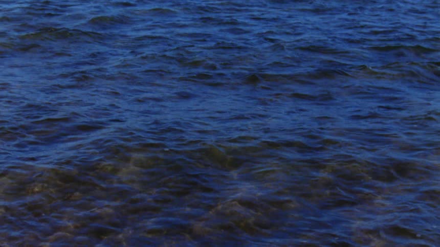 Close up view of waves in a body of water is displayed