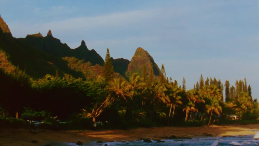Lush vegetation on the hills in the coast at morning caught on vintage film