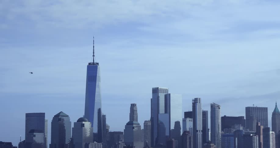 A bird and a helicopter fly over the city