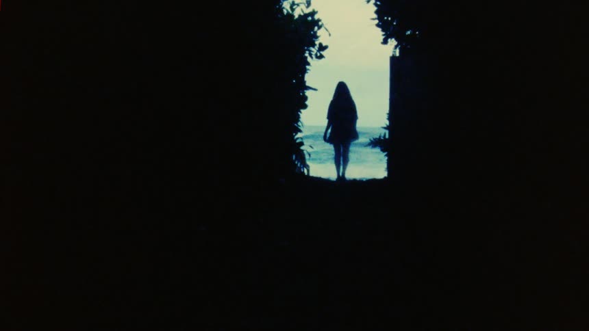 A womans silhouette walking away towards the ocean through a clearing