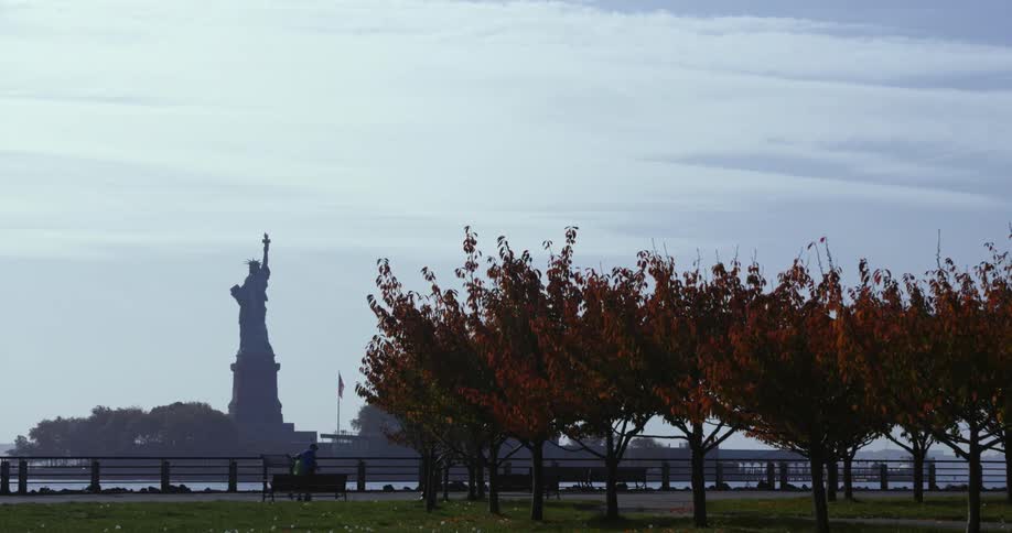 Silhouette of the statue of liberty on the new york city harbor shot from a park