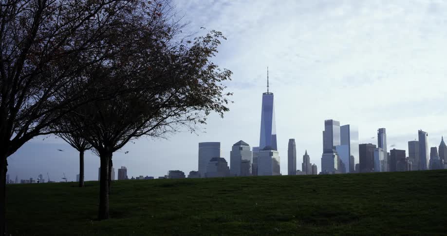 City skyline with skyscrapers and high rise buildings seen from green public park