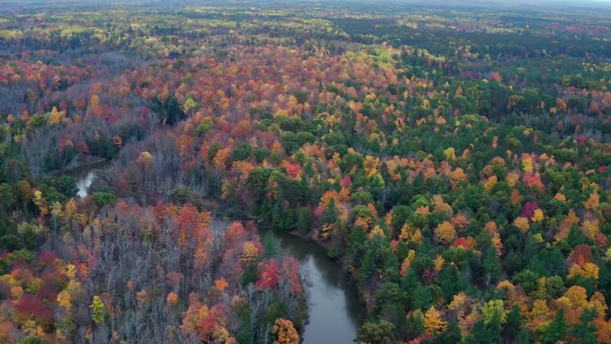 Red, yellow, orange, and green colored trees surrounding a river