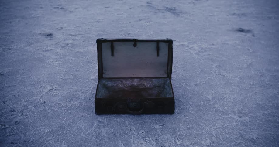 There is a brief case that is in the middle of the arctic area