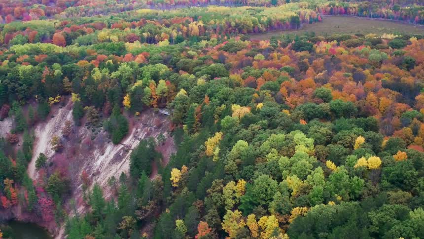 Aerial view of color fall trees