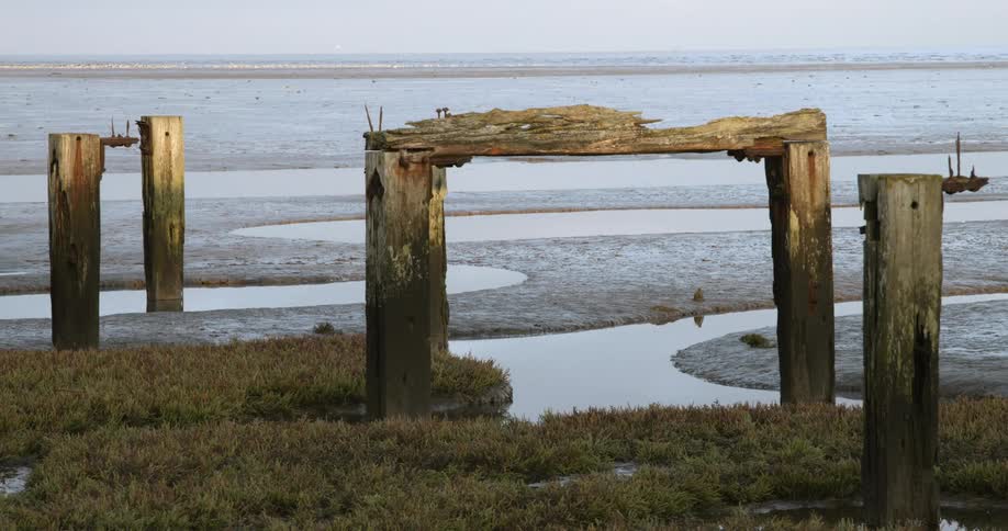River winds through mudflats from ocean to weathered wood posts and arch sitting among marsh