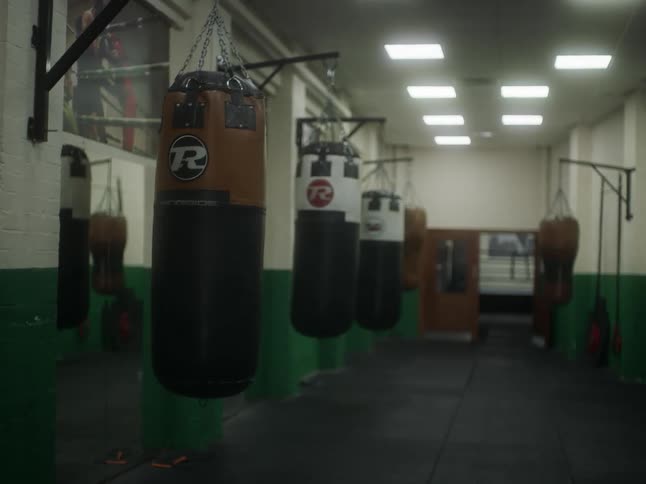 A row of punching bags in a boxing gym