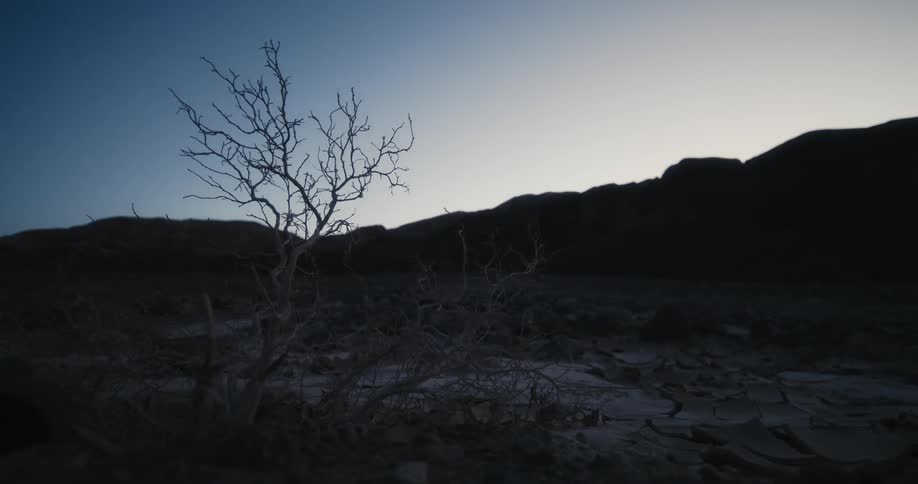 Silhouette of dead trees and mountains against the morning sky