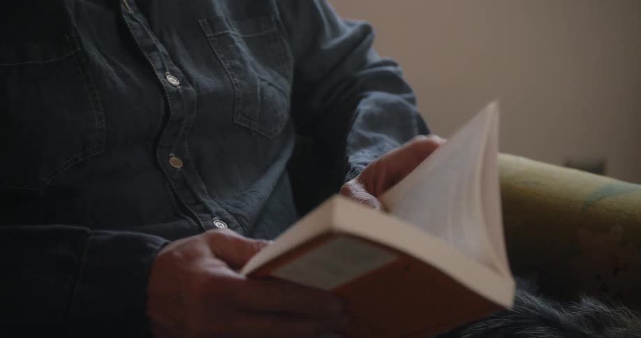 A man reading a book in a chair