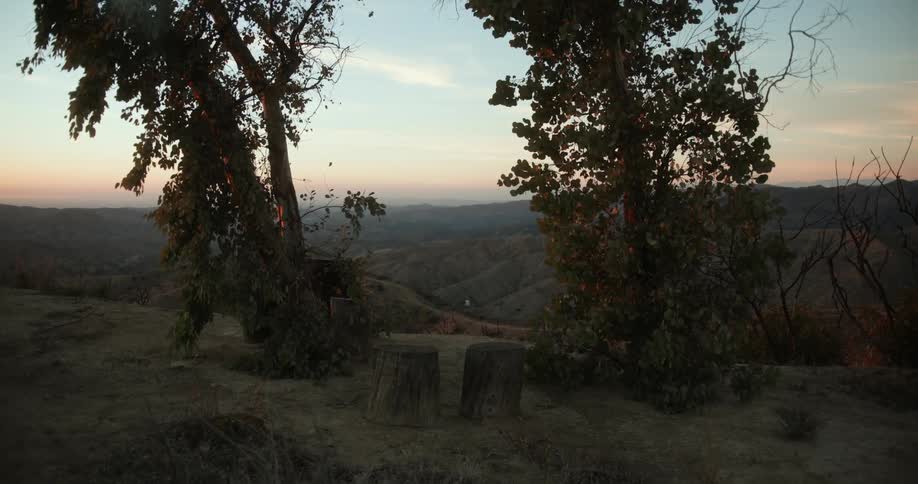 Cluster of tree stumps and trees overlook hills stretching to red tinted horizon